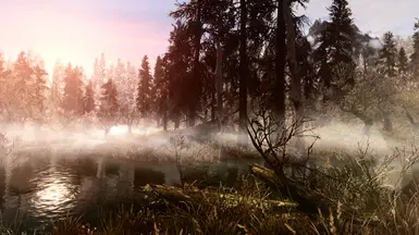 PhoenixVivid ENB Reshade Vivid Weathers 72 