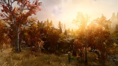 PhoenixVivid ENB Reshade Dolomite Weathers  6 