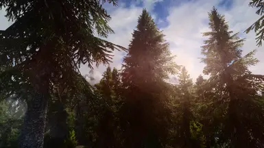 PhoenixVivid ENB Full Version 1 Dolomite Weathers  2 