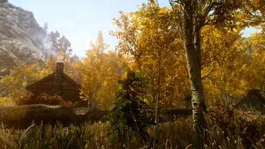 PhoenixVivid ENB Reshade Climates of Tamriel   3 