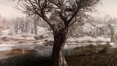 PhoenixVivid ENB Reshade Vivid Weathers   4 