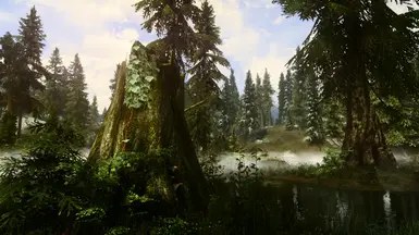 PhoenixVivid ENB Reshade Climates of Tamriel   5 