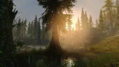 PhoenixVivid ENB ONLY Version Climates of Tamriel  6 