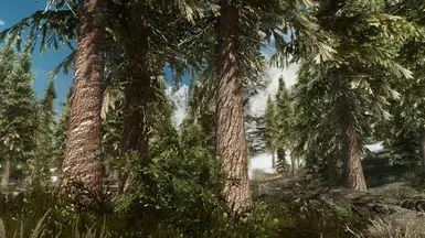 PhoenixVivid ENB Reshade NAT Version   1 