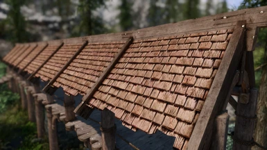 Wood shingle roof option