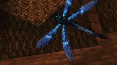 dragonfly4