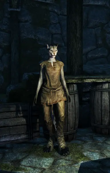 Digi Khajiit Female