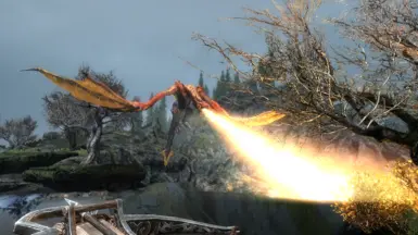 A smart Dragonborn lures dragons to bodies of water.