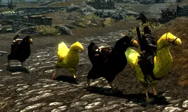 black chocobo