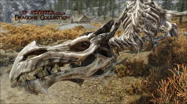 Skeletal Dragon / Dragon corpse