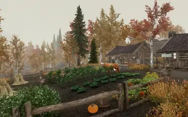 Merryfair Farm2