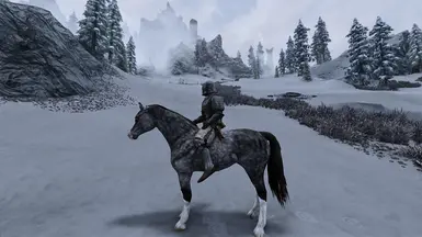 Immersive Real Horses