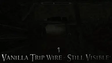 TripWire03