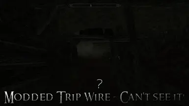 TripWire04