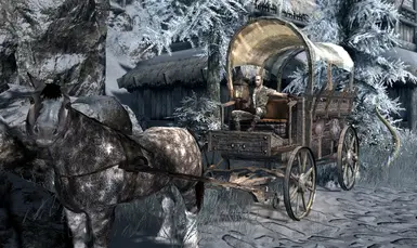 Winterhold Carriage (with canopy & lantern)