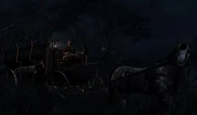 Windstad Manor Carriage (with lantern add-on)