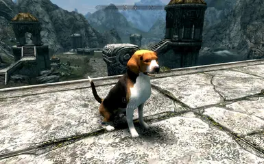 Beagle Skyrim Special Edition