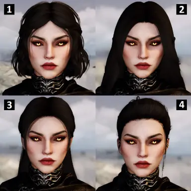 v1.2 Hairstyles diagram - created with permission from Pandorable