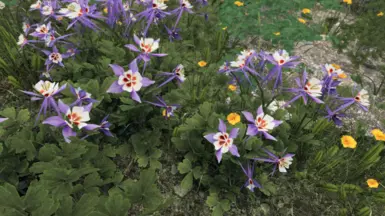 Cathedral - 3D Mountain Flowers