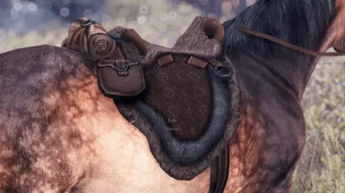 fancy saddle