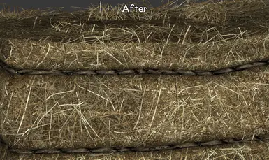 Color looks more like hay now
