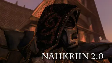 Nahkriin 2