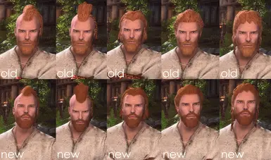 Vanilla vs my mod - after pictures use Beards by Hvergelmir
