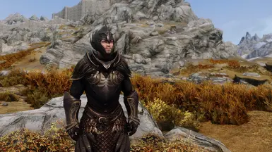 Thalmor Elven Armor