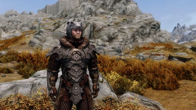 Nordic Armor with Brown Fur