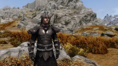 Grey Wolf Armor