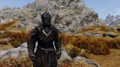 Silvered Ebony Armor