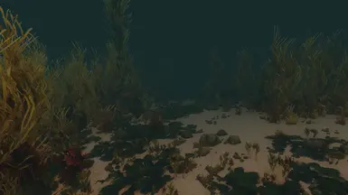 Underwater ocean