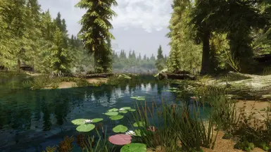 Water Edge (water lilies not included!)