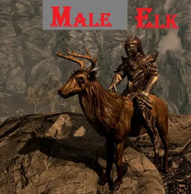 Male Elk