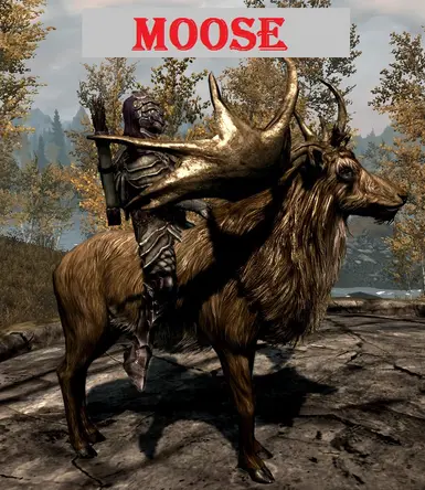 Moose