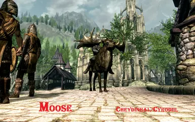 Moose in Oblivion