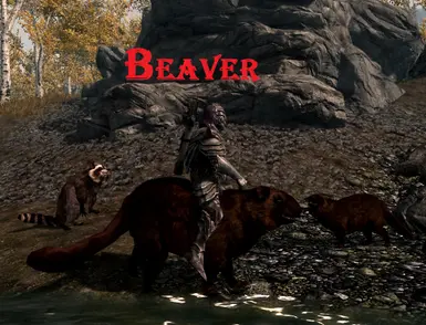 Beaver