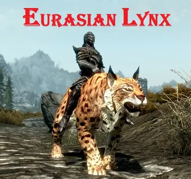 Eurasian Lynx