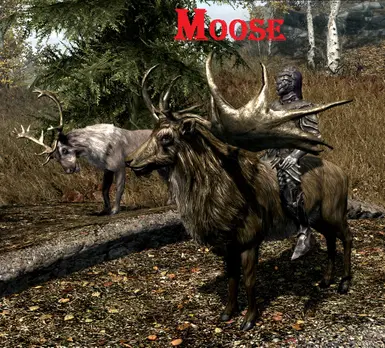 Moose