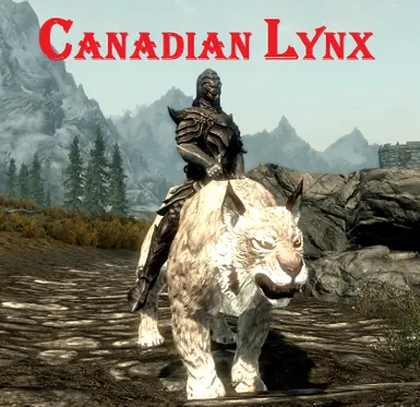 Canadian Lynx