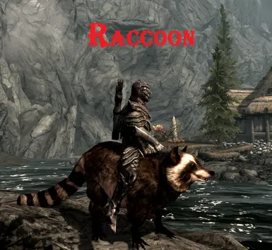 Raccoon