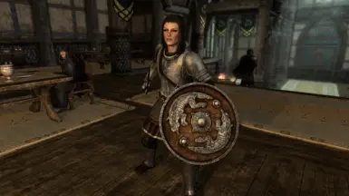 OLD Steel armor & shield