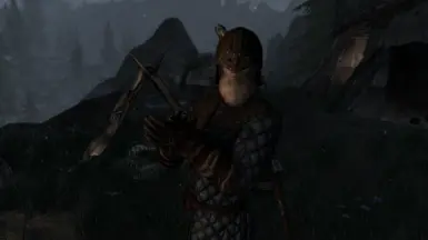 Stormcloak armor