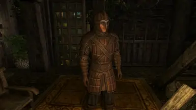 v1.2 Leather Armor