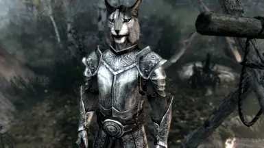 EVERYBODYS FAVORITE KHAJIIT!