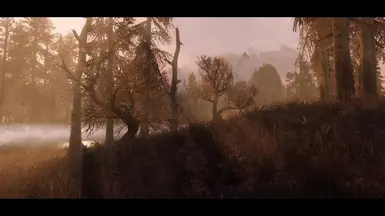 Climates Of Tamriel