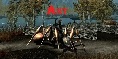 Ant