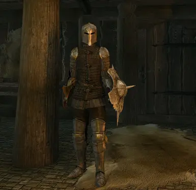 Female Heavy Dawnguard Armour