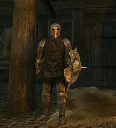 Male Heavy Dawnguard Armour