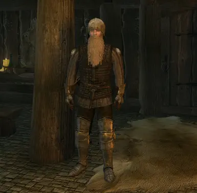 Male Light Dawnguard Armour